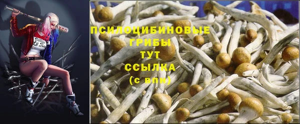 соль курить ск Алексеевка