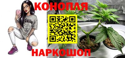 стаф Кулебаки