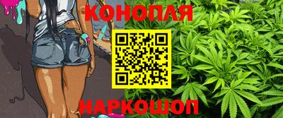 стаф Кулебаки