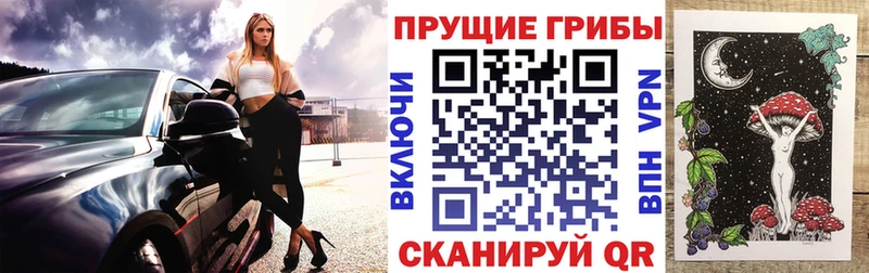 купить наркоту  Раменское  Псилоцибиновые грибы мухоморы 