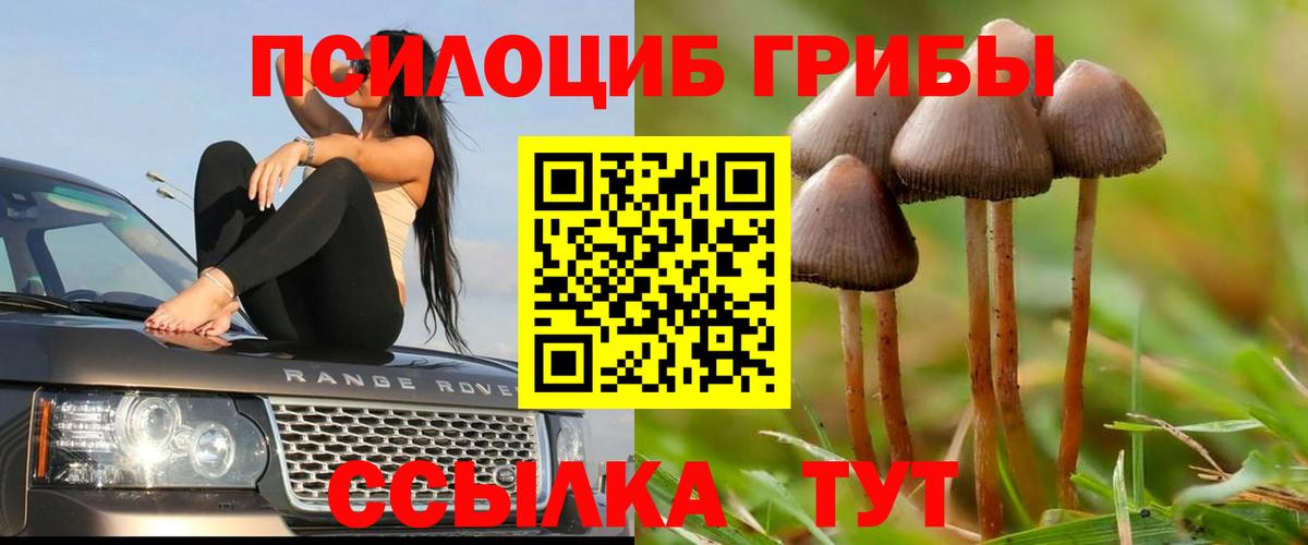 Галлюциногенные грибы MAGIC MUSHROOMS Раменское